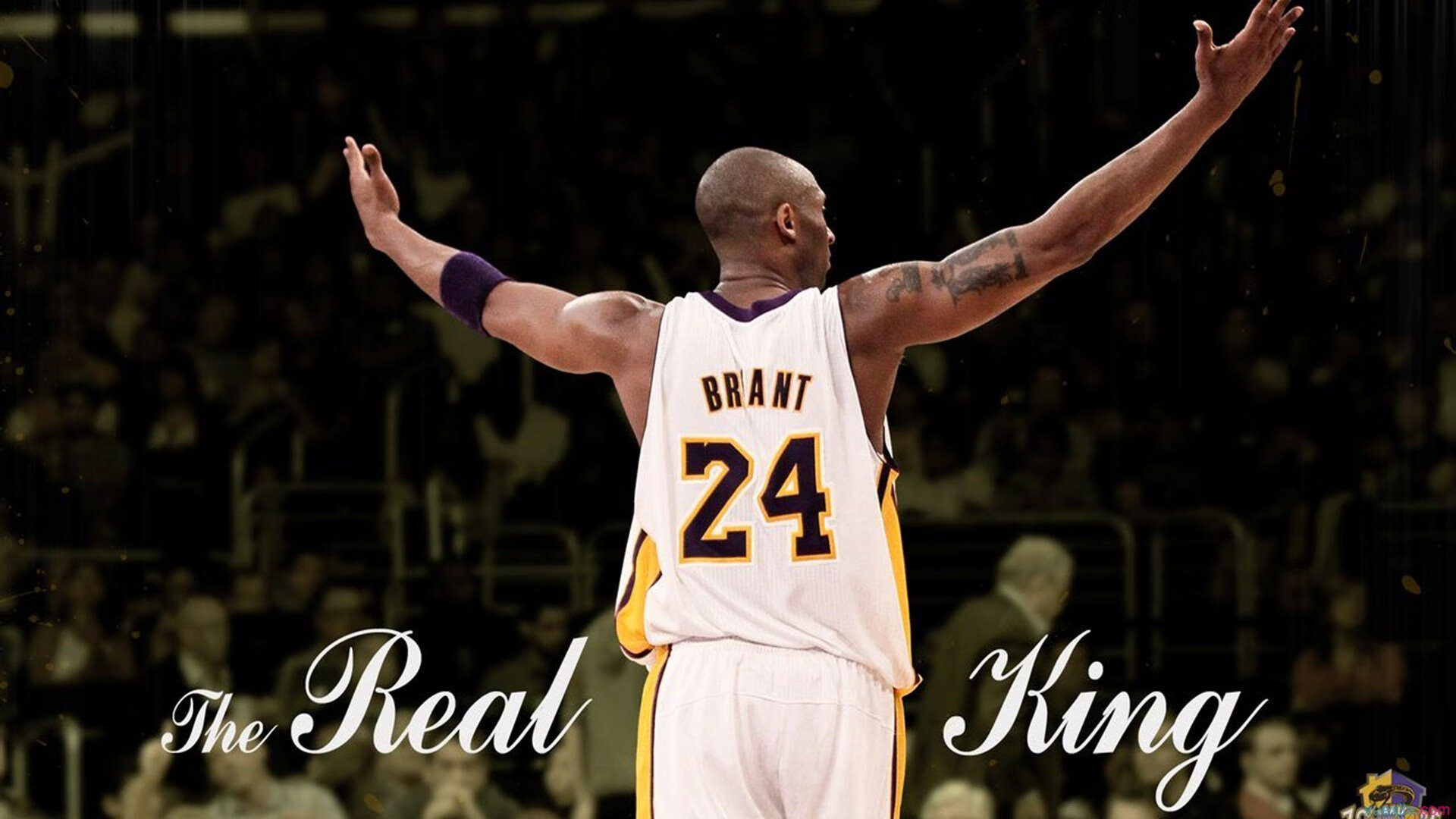 Panda Sports-从吉林到金州，当稳稳拿下遇见关键先生—论团队韧性如何重塑比赛结局