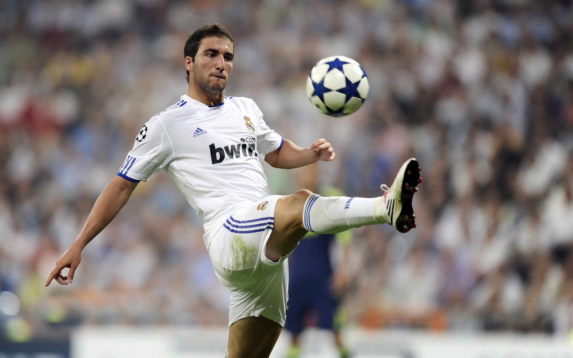 赛道与球场，当F1争冠焦点战遇见广东队踏平快船